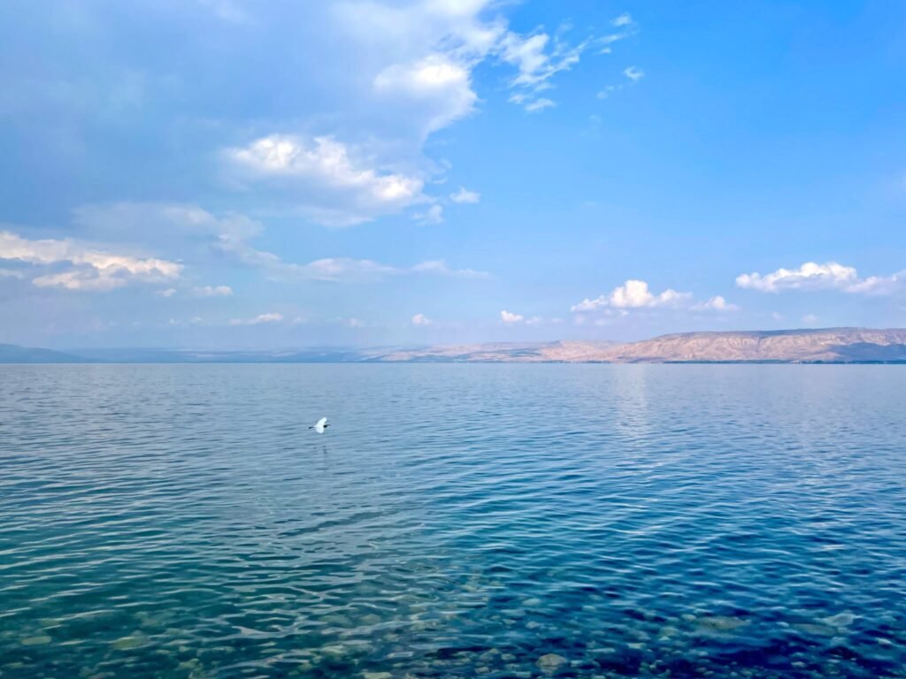 إسرائيل تستل سيف الماء وتستبدل الحدود الآمنة بالحد المائي الأكثر استقراراً