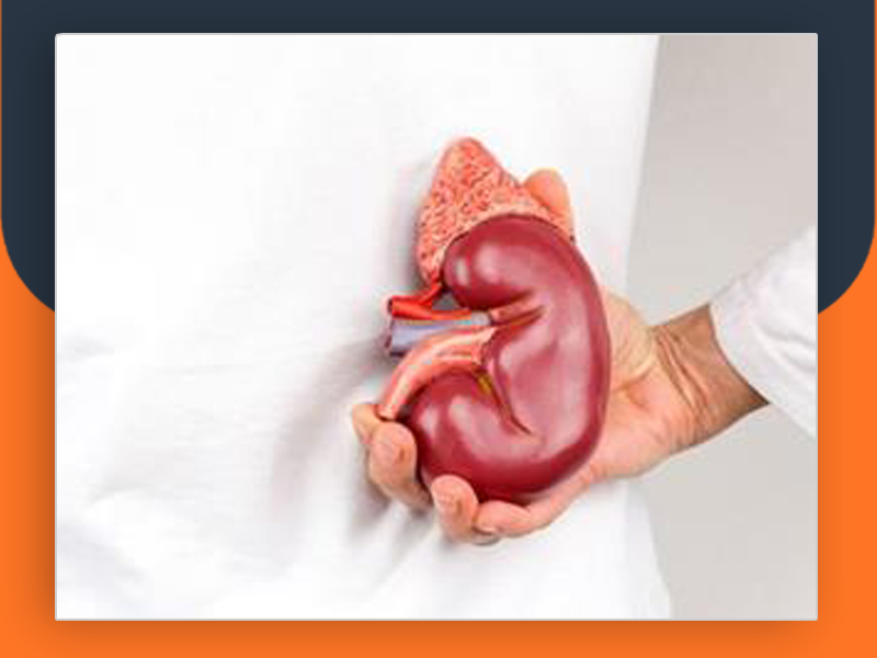 باع كليته ليلتحق بعائلته فانتهى المطاف به معتقلاً في عفرين