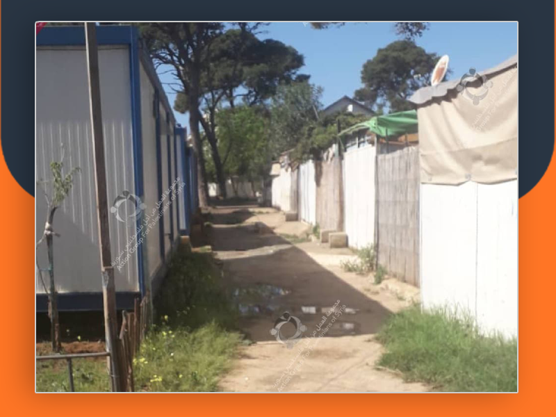 فلسطينيون فروا من الحرب السورية فأتعبتهم الحياة في الجزائر