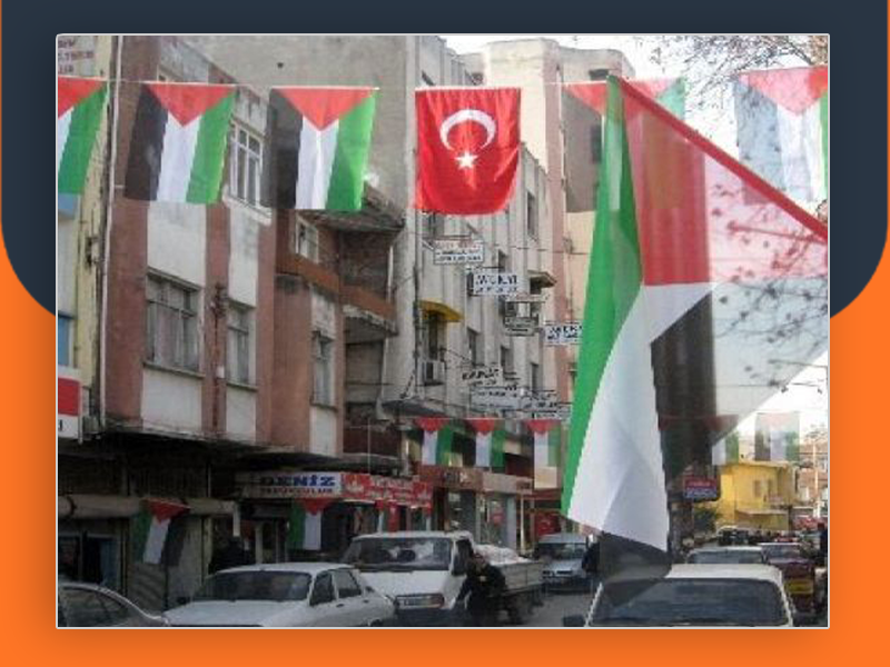 تركيا.. اتهامات للجهات الرسمية والأهلية الفلسطينية بالتخلي عن فلسطينيي سورية