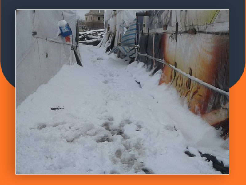 فلسطينيو سورية في البقاع اللبناني قطع مساعدات الأونروا زاد المأساة وبرد الشتاء فاقم المعاناة