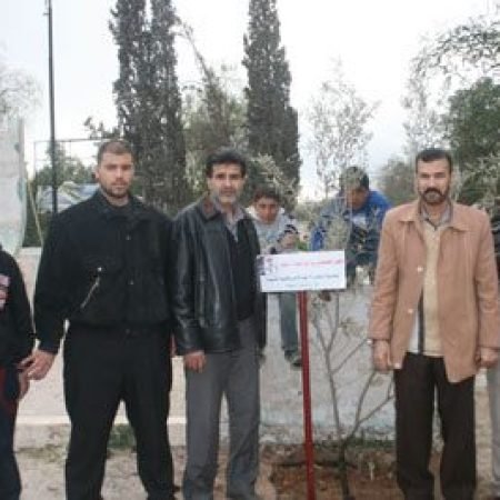 533616_280871758659668_948927946_n